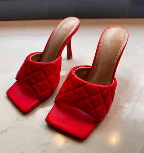 Wild Diva Lounge Red Heels