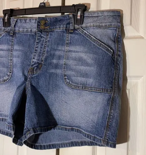 Zana Di Flat Front High Rise Denim Shorts 18