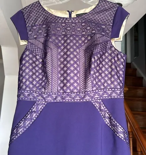 Antonio Melani  Embroidered Accented Dress Sz 10