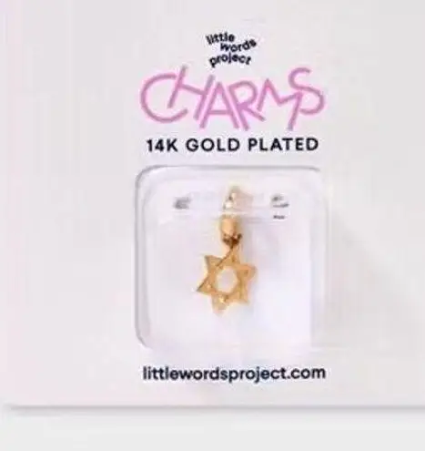 Little Words Project NWT 14k Gold Plated Star of David Charm - Image 2