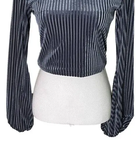 Privacy Please Lynnsey Crop Top in Bluestone Ribbed Long Sleeves Size Medium
