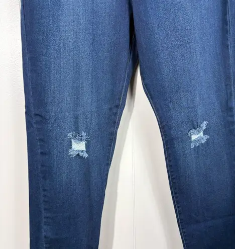 American Bazi Dark Wash Stretch Denim Distressed High Waisted Skinny Jeans 1X