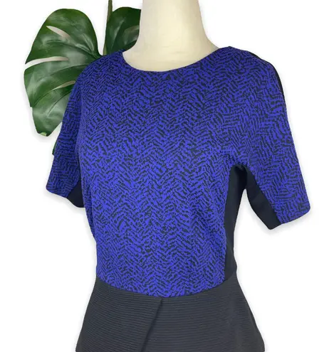 Walter Baker W118 by Cobalt Colorblock Knit Peplum Top