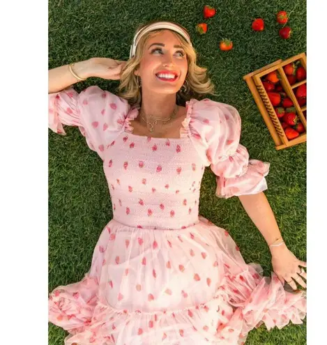 Ivy City Co Jess Dress Strawberry Fields Size XXS Tulle Stretch Smocked Tiered Pink