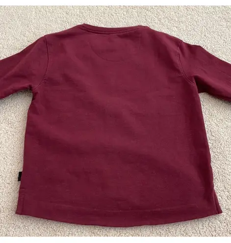 Patagonia Maroon Pullover Sweatshirt