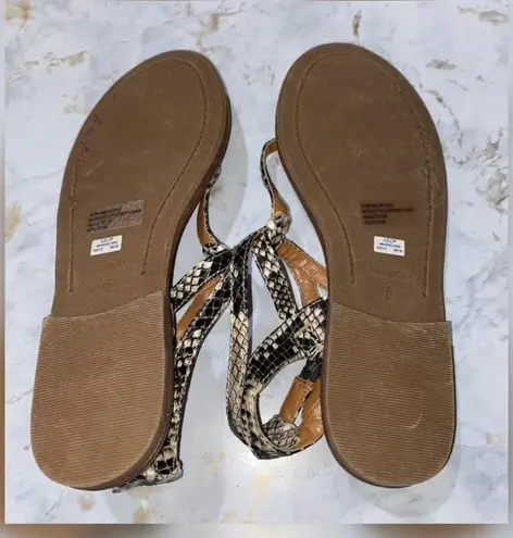 American Eagle America Eagle a outfitters Snake Print Sandals Size 7.5M