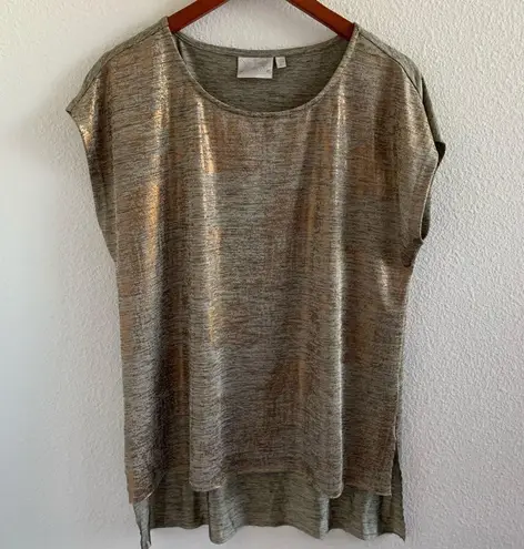 Dantelle Metallic Shimmer High Low Cap Sleeve Top Large