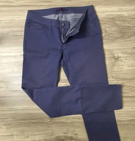 prAna Women's Purple Jeans - 6/28