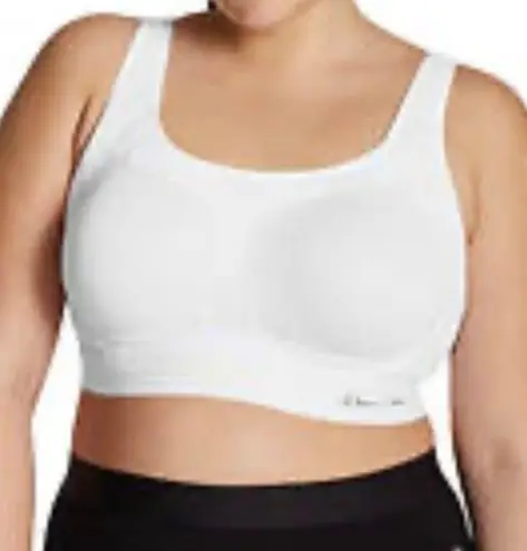 Champion  Plus Size Motion Control Underwire Sports Bra Size 44DDD New With Tags