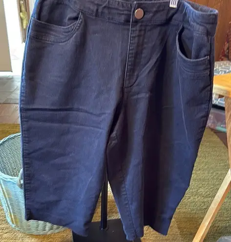 CJ Banks navy blue capris Size 14W