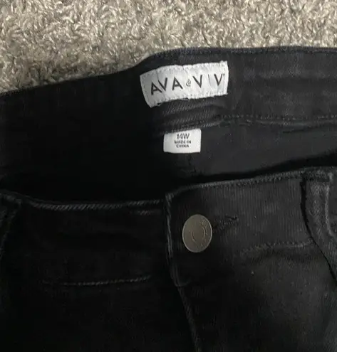 Ava & Viv 14 W Black Jean Shorts