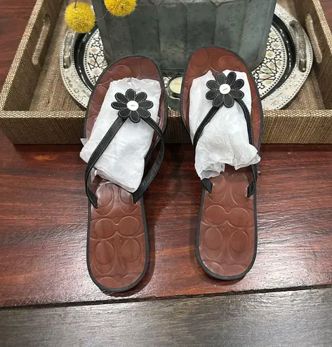 Coach  Shoes Women's Size 9 Black Floral  Sandals