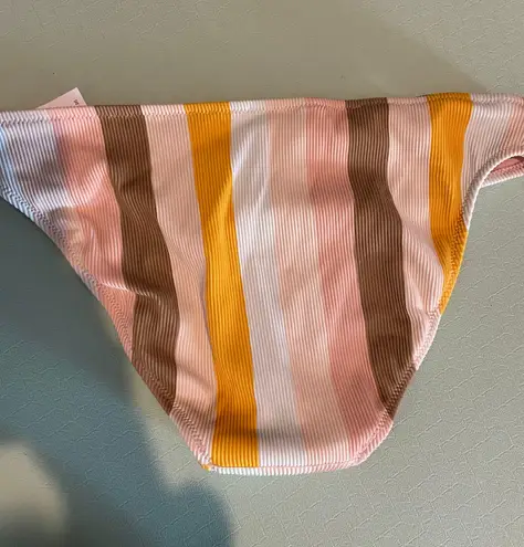 American Eagle  Striped Bikini Bottoms