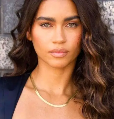 Jennifer Zeuner | Hamilton 14K Gold Vermeil Herringbone Necklace W/Dustbag - NWT