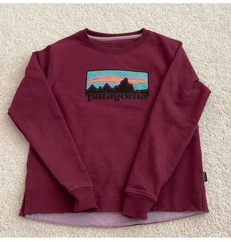 Patagonia Maroon Pullover Sweatshirt