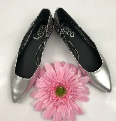 Circus by Sam Edelman  Ellissa Silver Pointed Flats