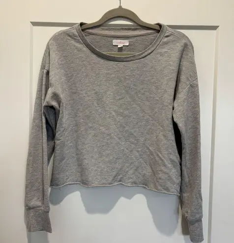 Colsie Gray Cropped Relaxed Crewneck Sweatshirt Size S