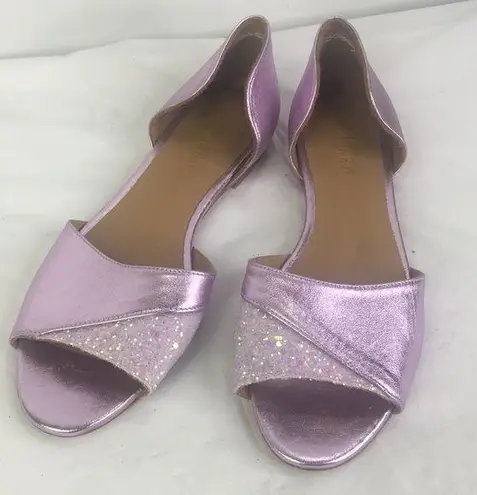 BHLDN New Emma Go pink Metallic Glitter leather Dorsey Flats 38/8