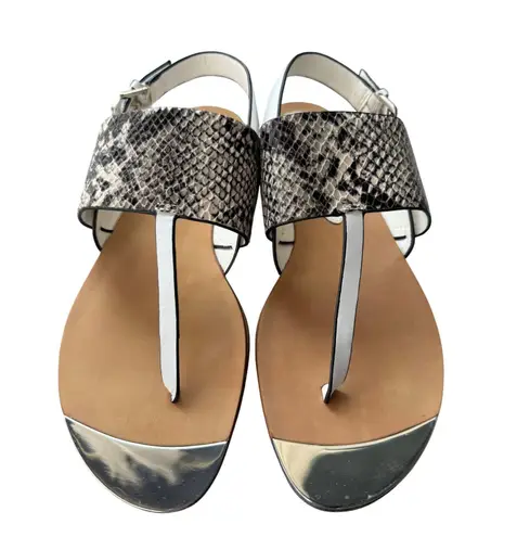 Isola Snakeskin Print Thong Sandals Silver Accent Buckle Strap Size 9M