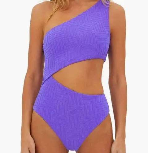 Beach Riot  Celine Cutout One-Shoulder One-Piece Swimsuit