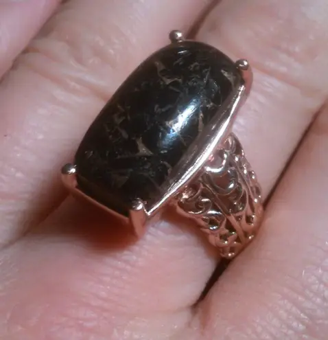 Matrix Silver Shungite 14K Rose Gold Over Copper Ring (Size 8)