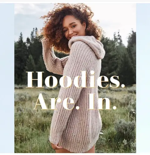 Aerie Oversized Open Road Sweater Hoodie