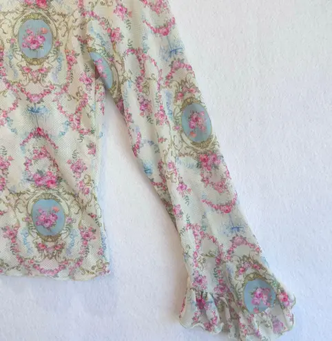 Romantic Cottagecore Sheer Mesh Ruffle Long Sleeve Top Floral Print Y2K Small Pink