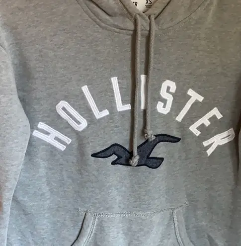 Hollister Hoodie