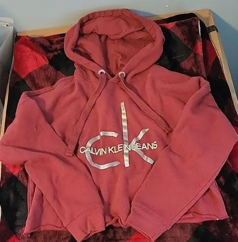 Calvin Klein Jeans Like NEW Crop Hoodie Sweatshirt Women's Size Medium