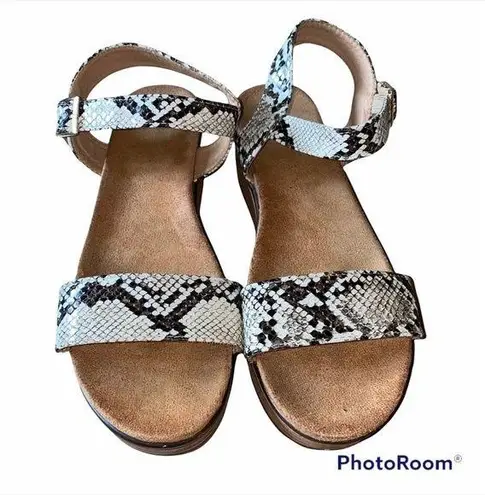 None Snakeskin Embossed Platform Sandal size 10