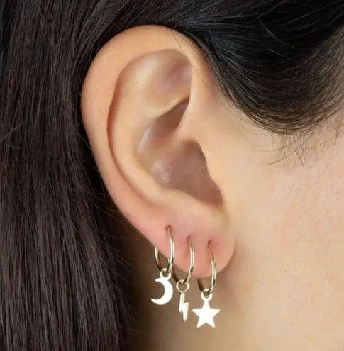 Princess Polly Adinas Jewels Solid Star Hippo Earrings 14K