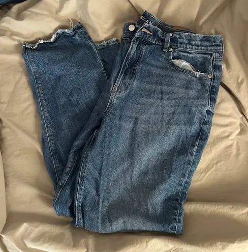 American Eagle Outfitters Straight Jeans