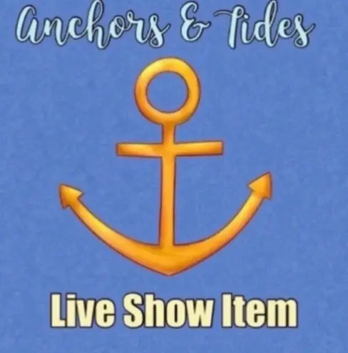 Andrée Top Black & White Striped Hoodie with Silver Sequin Hood Sz 3X NWT