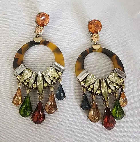 Acrylic Tortoise with Multi Color Stones Drop Earrings