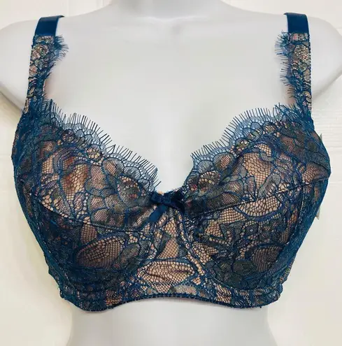 Frederick's of Hollywood Fredrick’s Of Hollywood Voluptuous Bra Padded Push Up 34DD Teal Shine Lace NEW