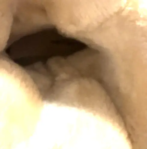 Arizona Sierra Boots