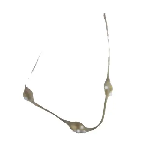 Gold Tone Snake Chain With Three Shells Necklace