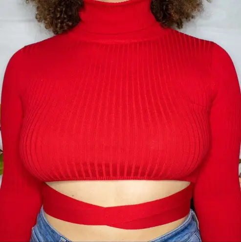 Vibrant Ribbed Turtle Neck