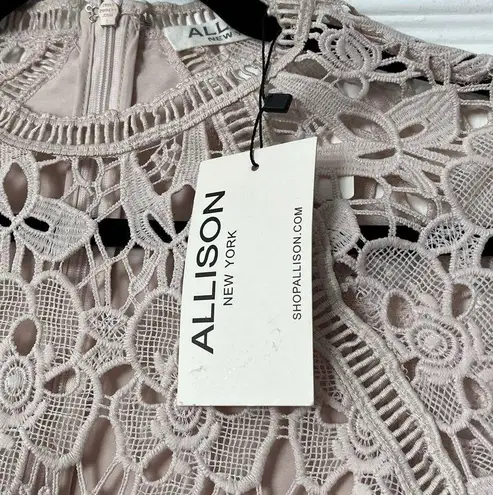 Allison New York Crochet Overlay Dress
