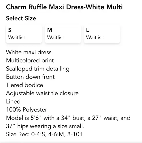 Charm Ruffle Maxi Dress Multiple Size M