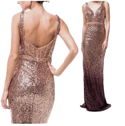 Bicici & Coty Ombre Rose Gold Beaded Sequin Embroidered Mesh Embellished Maxi Dress Gown S