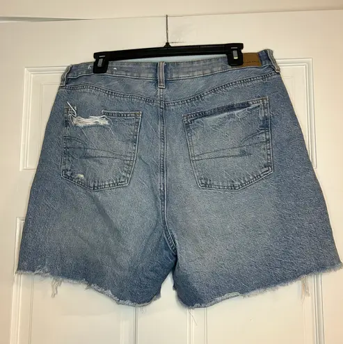 American Eagle Baggy Mom Short