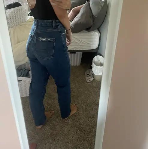 American Eagle Mom Jeans