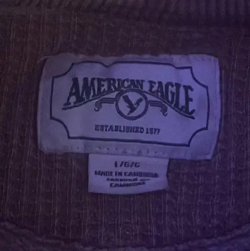 American Eagle Outfitters Oversized Crewneck