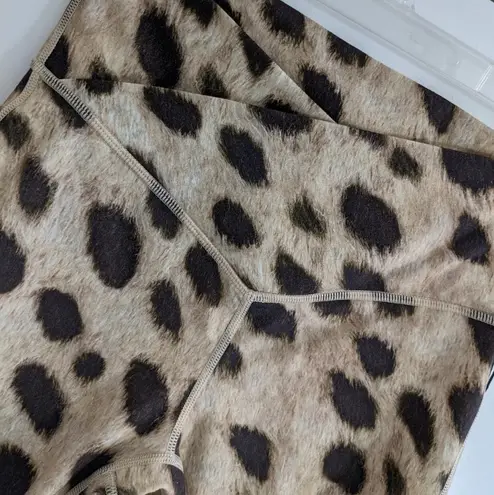 We Wore What Brand New Splice Leopard Print Shorts