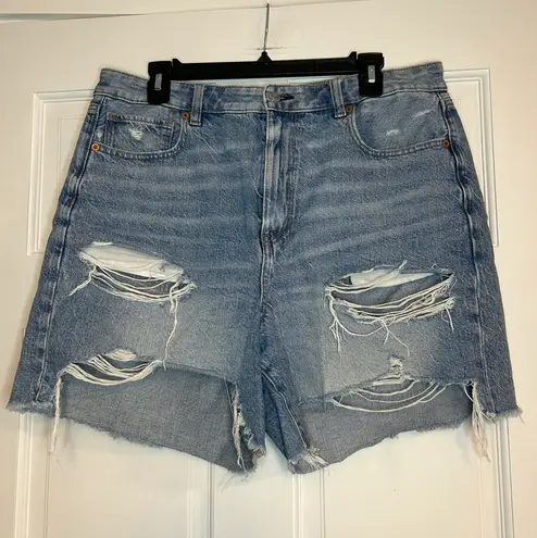 American Eagle Baggy Mom Short