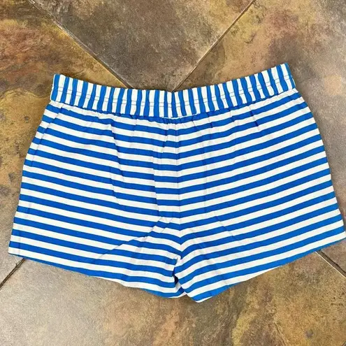 J. CREW Blue White Striped Pull