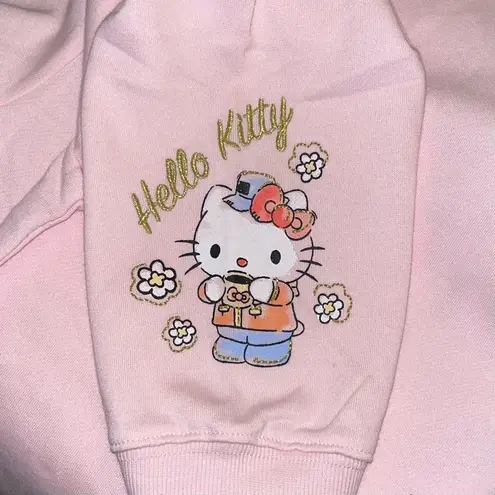 Hello Kitty NEW  & Friends go Camping Hoodie size L Pink - Image 4