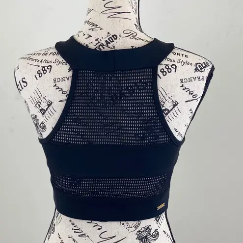 ATIVE Skyline Active Crop Top