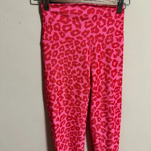 Beach Riot Ayla Legging in Famous High Risk Red Leopard Pink Ribbed- Size XS